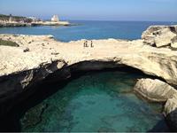 natural_swimming_pool-small